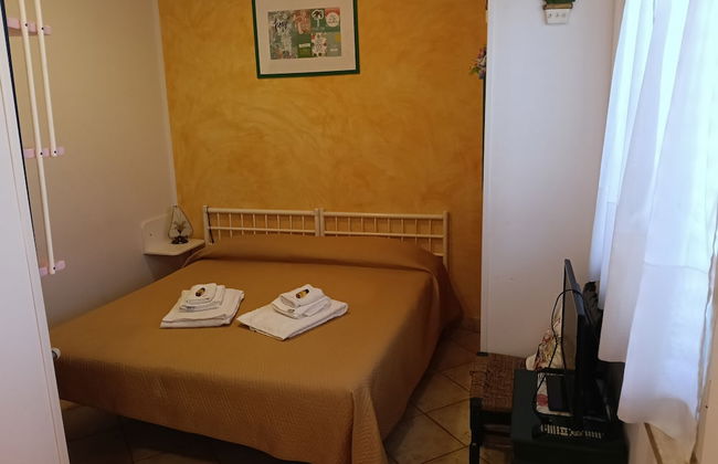 I Cardinali - Foto 6