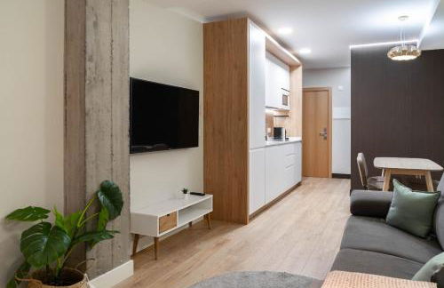 Limehome Bilbao Tristan de Leguizamon Kalea - Foto 38