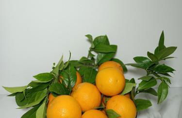 Clio's House - Mondello - Foto 29