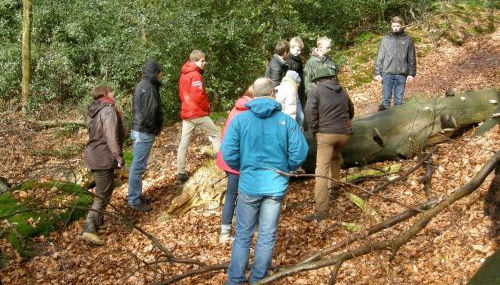 Ferienwohnung auf dem Golfplatz Tecklenburger Land - Photo 4