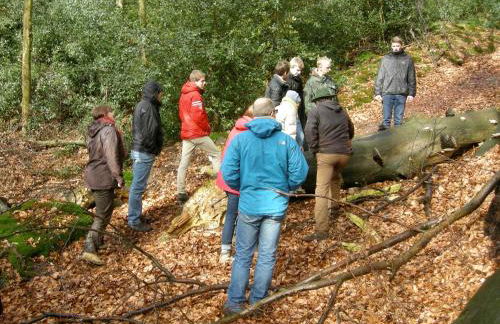 Ferienwohnung auf dem Golfplatz Tecklenburger Land - Foto 4