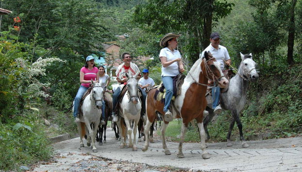 Tobia Horse Riding Tour - Foto 4