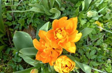 Agriturismo Malvista - Foto 57