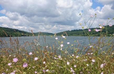 Chalet La clef des champs - Vue Imprenable - Piscine - Photo 16