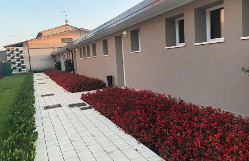 Agricamping Al grappolo diVino - Foto 14