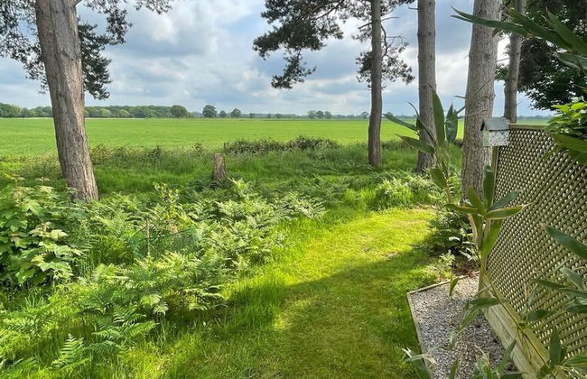 Hollicarrs - Wildflower Lodge - Foto 29