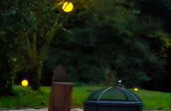 Holiday Home Forest INN - Foto 22