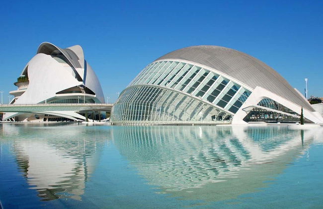 Valencia Oceanogràfic and Hemisfèric Day Trip - Photo 1