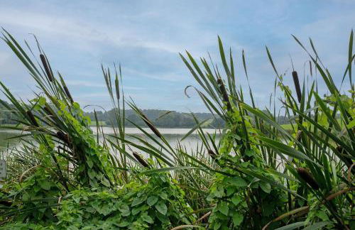 Schwedenhaus Engström - Foto 43