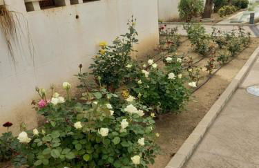 Apartamento Vitania - Photo 16