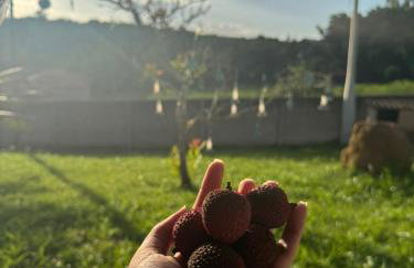 Casa Amarela Ecoloft Brasil 88 - Foto 67