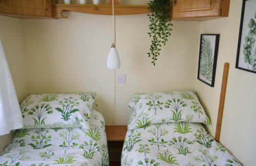 Swallows Return - Foto 11