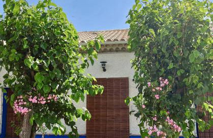 La Antigua Estación - Río Mundo Agramón - Foto 39