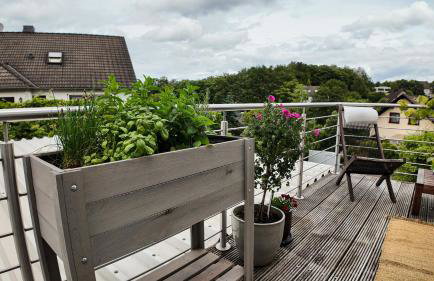 Auszeit & Natur - ländliche Fachwerkhaushälfte - Foto 19