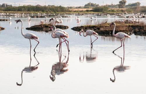 Casa Mary, vero relax a 15 min. dal mare-IUN Q1172 - Foto 22