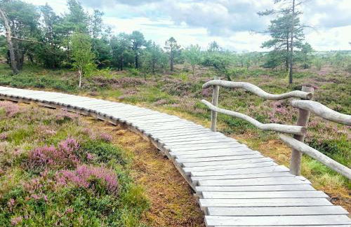 RhönZeit Apartements und Zimmer - Photo 10