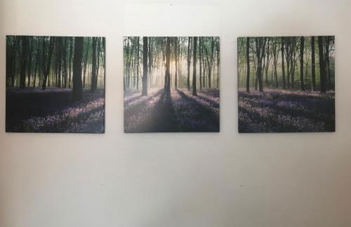 Ferienhäuser Schlossberg - Foto 65