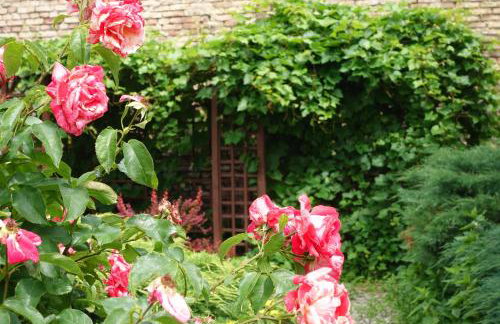 "Jabłonie i grusze" Nice home in a big garden with sauna and wifi - Foto 28