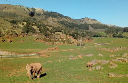 La Casa de Consuelo 3 - Foto 56