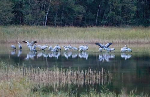 Ferienwohnungen am Federower Hofsee - Foto 7