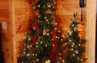 His Promises Cabin - Foto 17