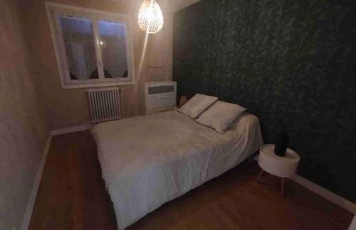 Le jardin aux iris - Foto 10