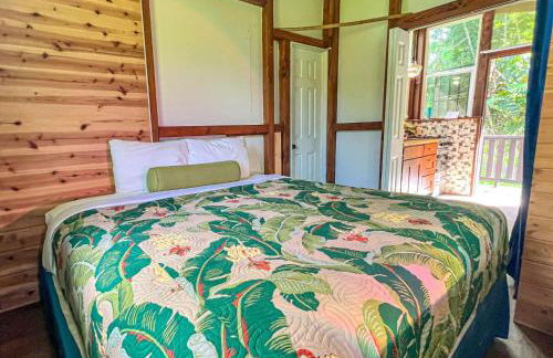 Hawaiian Sanctuary Eco Retreat Center - Foto 46