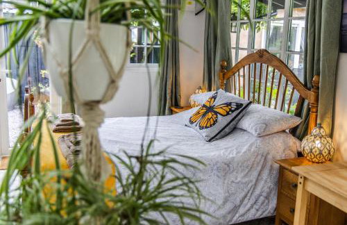 Garden Studio - Foto 1