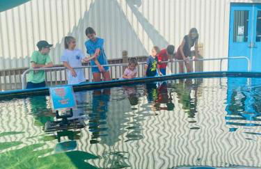 Pet Friendly Tranquil Cottage with Fire-Pit & Hot Tub Minutes to BEACHES - Foto 65