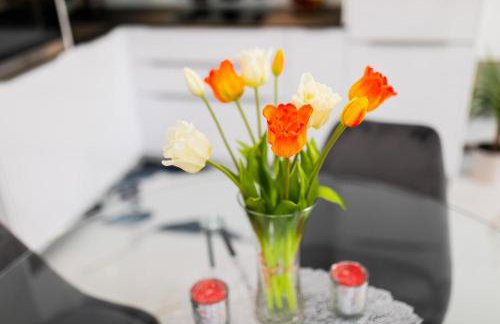 Apartman MAJETIC - Foto 14