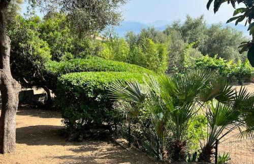 villa vue mer avec piscine et jardin arboré - Foto 6