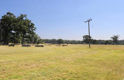 New Park Farm Cottage - Foto 32