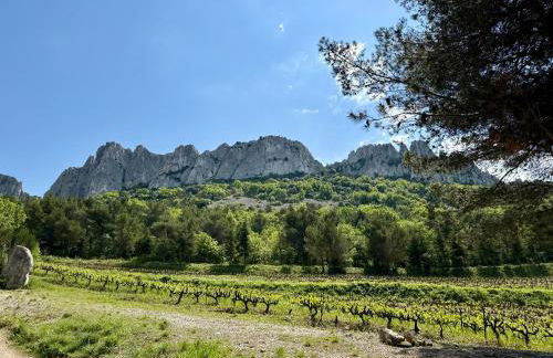 Gîte Juno - Photo 17