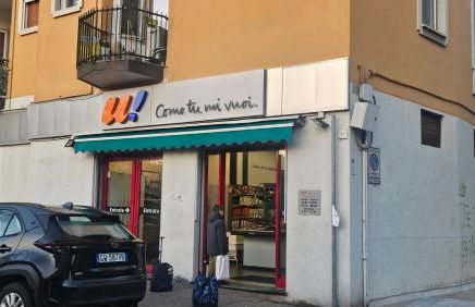 South Milan Family & Business home - Photo 38