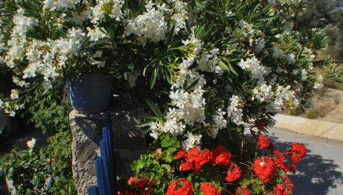 Korfes Apartments - Foto 4