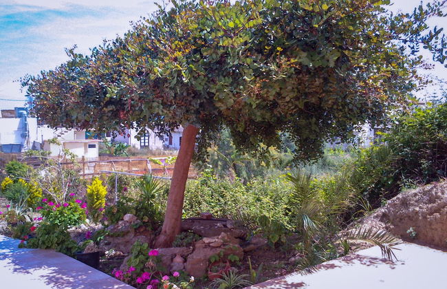 Kalimera Hotel Agia Marina - Foto 36