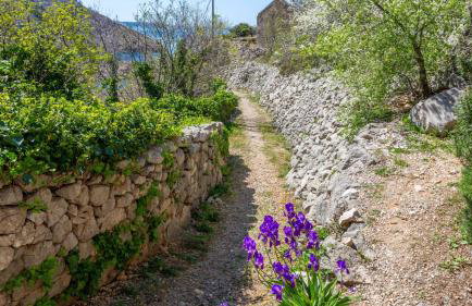 Holiday home Vranjak by Villas Guide - Foto 25