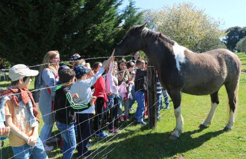Quinta Santo Antonio do Rio - Foto 23