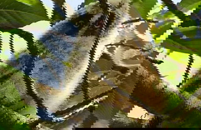 Holiday Home Meeresleuchten - Photo 16