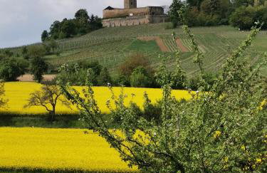 Im Herzen des Kraichgaus 2 - Foto 40