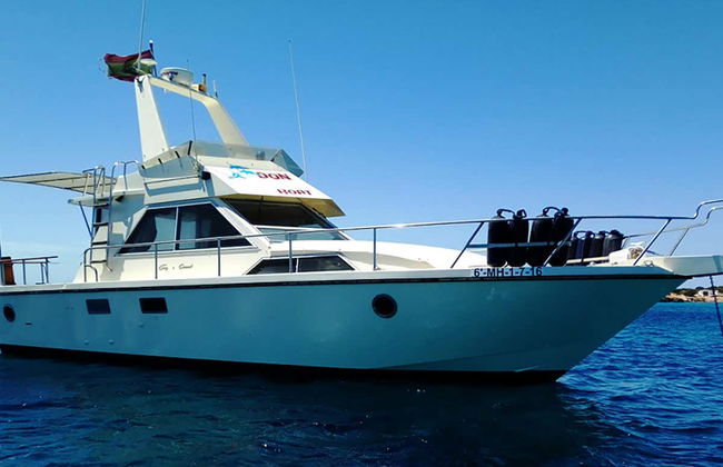 Paseo en barco por las calas del sur desde Cala Galdana - Foto 2