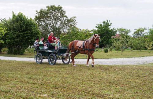 Le chalet dans la prairie - Foto 20
