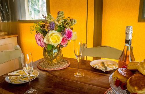 Tent 2 Tangleweood - Ukc4717 - Foto 9