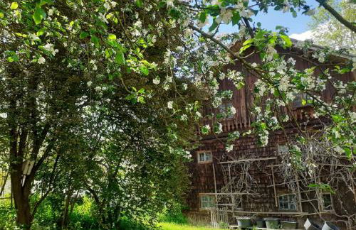 Ferienwohnung Kreiller - Foto 9