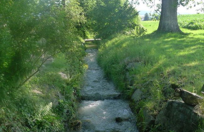 Ferienhaus Oase am Mühlebach - Foto 14