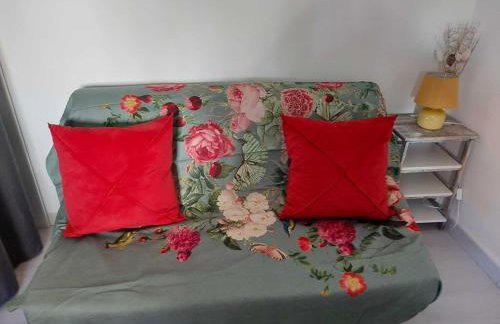 Large cozy studio in Castellane /Gorges du Verdon - Foto 7