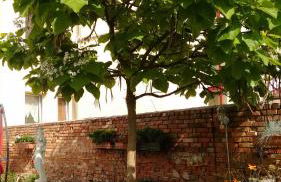 Ferienwohnungen Haus Leonore - Foto 3