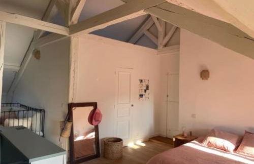 Grande chambre indépendante, charme, calme sur jardin, Nantes centre, accès privé par escalier de l'immeuble, sdb & wc privés, 10 minutes gare et palais des congrès - Foto 3