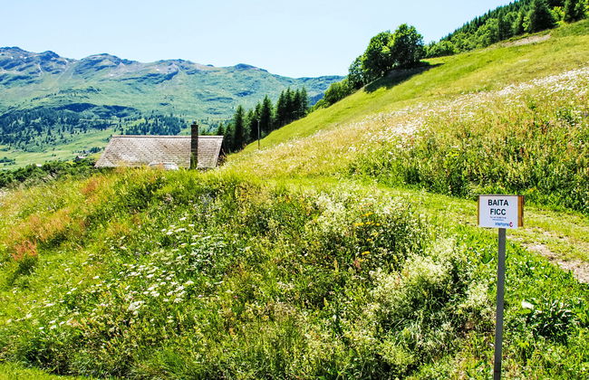 Baita Ficc - Foto 16