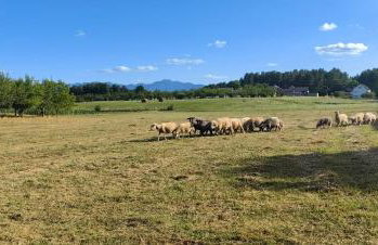 AGRO house LIKA - Photo 20